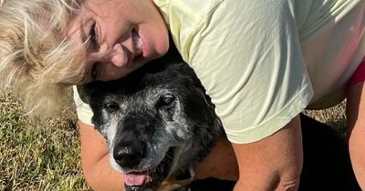 Woman adopts elderly dog with cancer so he doesn't die alone in kennels