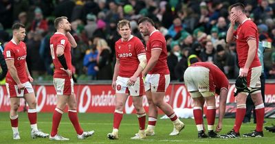 New World Rugby rankings will see Wales drop into third tier if Scotland win