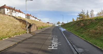 Scots man attacked by gang of yobs while walking to library