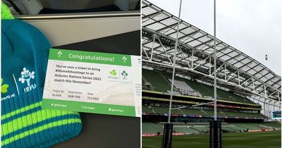 Aer Lingus surprise passengers with free tickets to Ireland Autumn Nations Series game