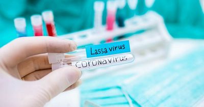 Patient dies of rare rat-born Lassa fever as UK confirms third case and Ireland's HPSC issues advice