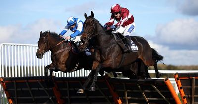 Saturday ITV Racing tips: Newsboy's selections for ITV4 races at Newbury and Warwick