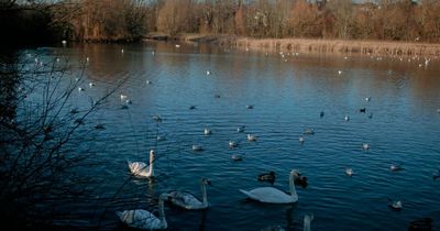 Beauty spot and nature reserve near Bristol closed after safety fears raised