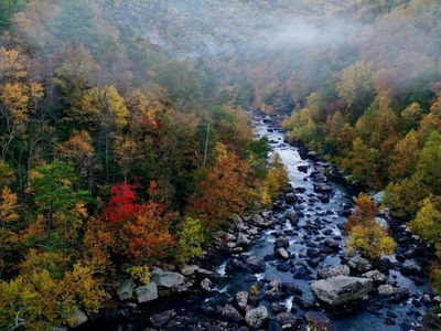 Virginia Lawmakers At Impasse: How To Move Legal Cannabis Program Forward And Control Illicit Market?