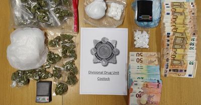 Gardai seize thousands in cash and drugs after search operation in Dublin