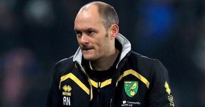 'Great manager' - New Sunderland boss Alex Neil given seal of approval by fans of Preston & Norwich