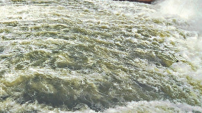 Tamil Nadu urges Cauvery panel to ensure water release by Karnataka