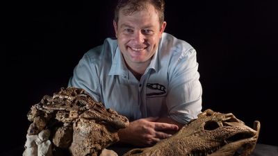 'It's just extraordinary': Ancient crocodile's last meal may have been a dinosaur