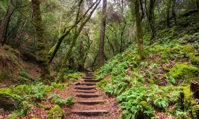 Yoga, nature walks: Salesforce opens luxe ‘ranch’ to help remote workers connect