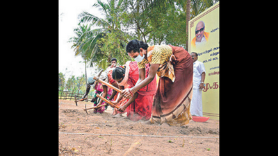 Tamil Nadu CM MK Stalin launches Keeladi phase-VIII work