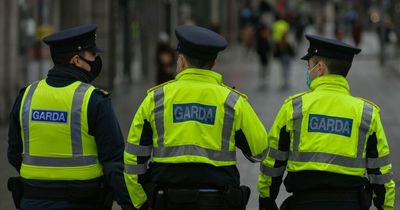 Gardai launch criminal investigation after late night house fire in Dublin