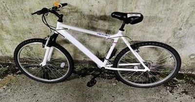 Gardai looking to reunite a number of bikes with owners in Dublin