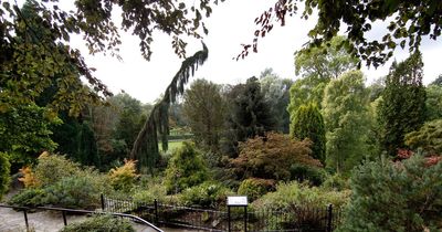 Romantic beauty spots in Greater Manchester to visit this Valentine’s Day