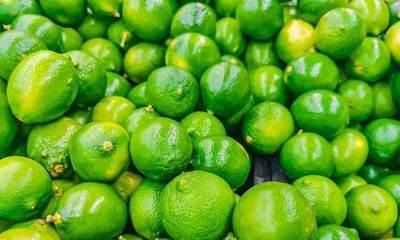 Mexico lime inflation leaves sour taste as cartels gouge prices for cuisine staple