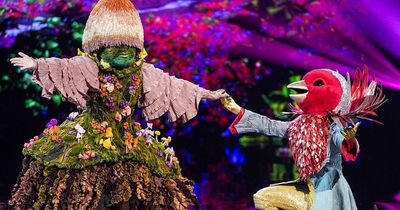 The Masked Singer's Robin, Hedgehog and Queen Bee return to stage for tonight's final