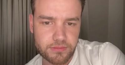 Liam Payne praises 'smart' son Bear as he pretends to have Covid for 'day off school'