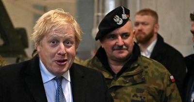 'Good news - our Prime Minister Boris Johnson is not a complete clown apparently'