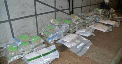 Two arrested as cocaine and cannabis worth €2.1m seized at Belfast Harbour