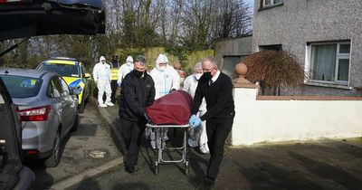 Man stabbed to death at Wicklow house may have died in drink-fuelled row