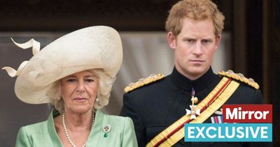 Prince Harry's book will 'shake royals to core' with true feelings about Camilla