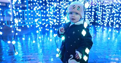 Crowds dazzled by launch of spectacular arts projects