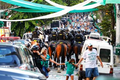 Palmeiras fan shot dead in Brazil after Club World Cup final