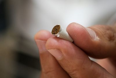 Switzerland to vote on banning tobacco advertising, animal testing