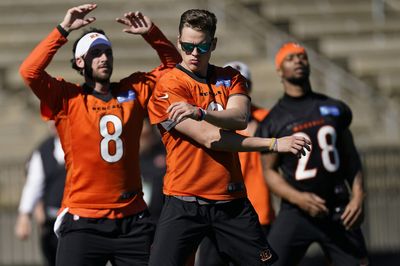 Joe Burrow gives most midwestern answer ever when asked about LA weather