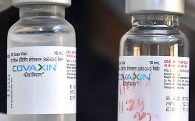 Explained | Who is manufacturing India’s mRNA vaccine?