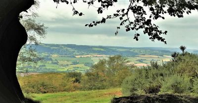 Somerset 'ghost' reportedly says swear word to tourists who visit beauty spot