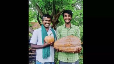 When society reaps what you sow