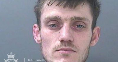 Car thief fought with Amazon driver as he tried to steal his delivery van