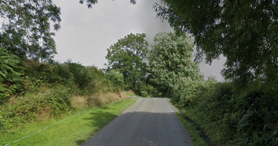 Man, 60s, dies after horror crash in Co Meath as gardai close road