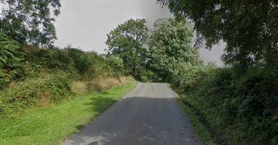 Man, 60s, dies after horror crash as gardai close road