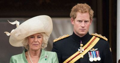 Prince Harry's book will 'shake royals to core' over Camilla comments