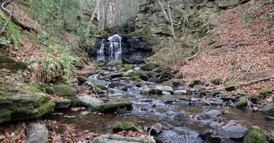 The stunning hidden waterfall which is less than an hour away from Newcastle