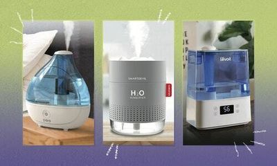 The 5 best humidifiers for dry noses