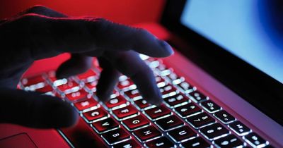 Android users urged to update phones amid 'critical' security issue fix by Google