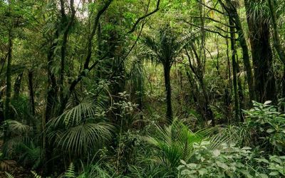The ban that wasn't - mining on conservation land
