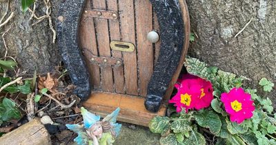 The Northumberland 'Banksy' behind mystery fairy doors that have become village folklore