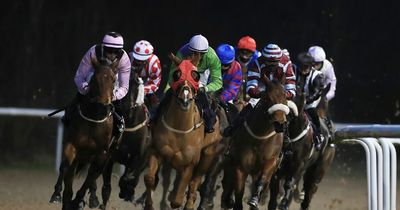 Horse racing tips from Newsboy for Monday at Catterick, Plumpton and Wolverhampton