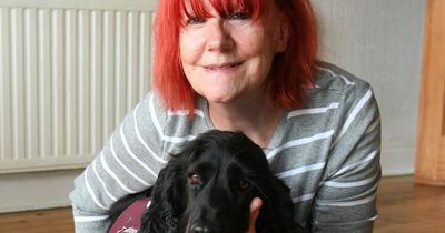 'I'll always be ear for you' - meet Lanarkshire mum's lifeline hearing dog, Jenson