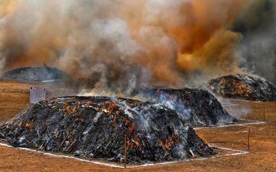 No high from ganja-burning, just a nagging headache at the most