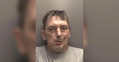 Hapless criminal receives EIGHTH driving ban after smashing into bus stop