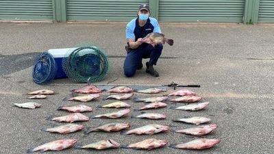 High-tech operation on Sydney Harbour steps up hunt for illegal fishers