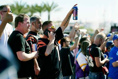 Bengals fans appear to make Super Bowl in Los Angeles a home game