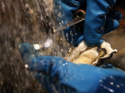 Farmers fight back against oyster rustlers