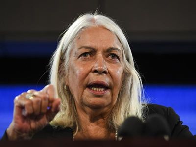 'Untapped potential' in Indigenous tech