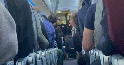 American Airlines flight makes emergency landing after man becomes 'erratic' mid-air