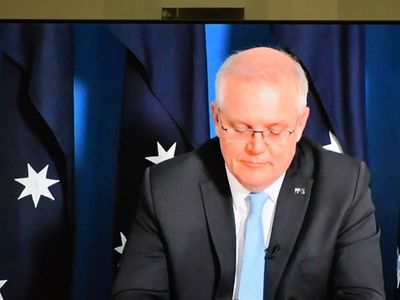 PM leaked his own Macron texts: senator